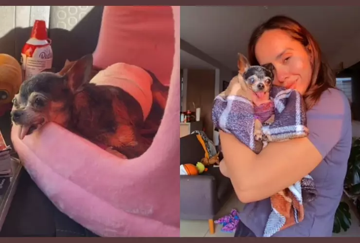 Video viral El último día de Romina en la tierra