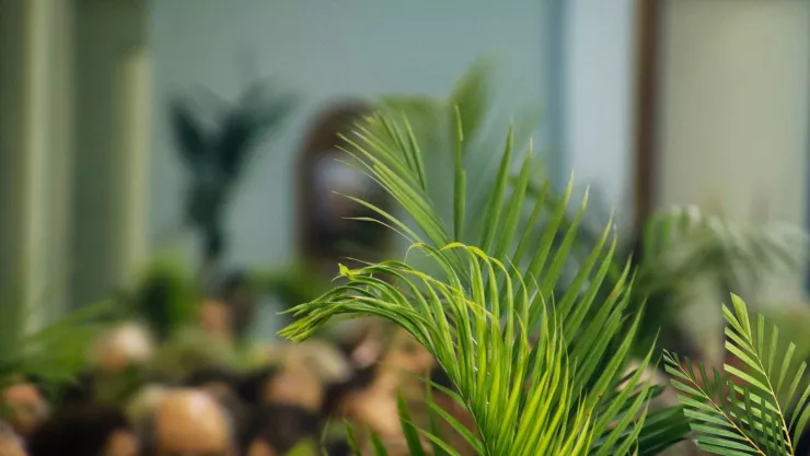 7 cosas prohibidas en Semana Santa: Creencias que aún sorprenden a millones