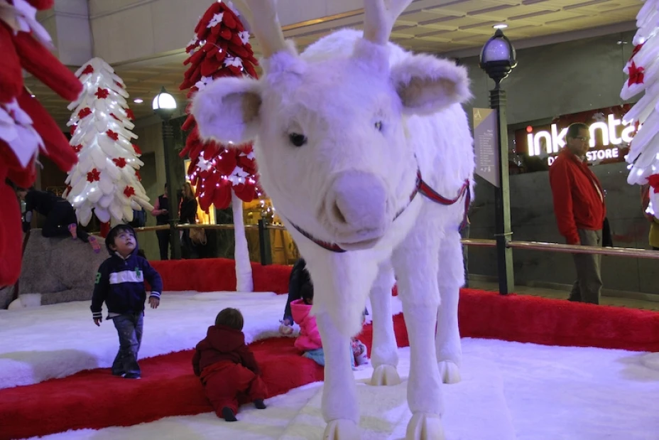 Pesimismo y navidad
