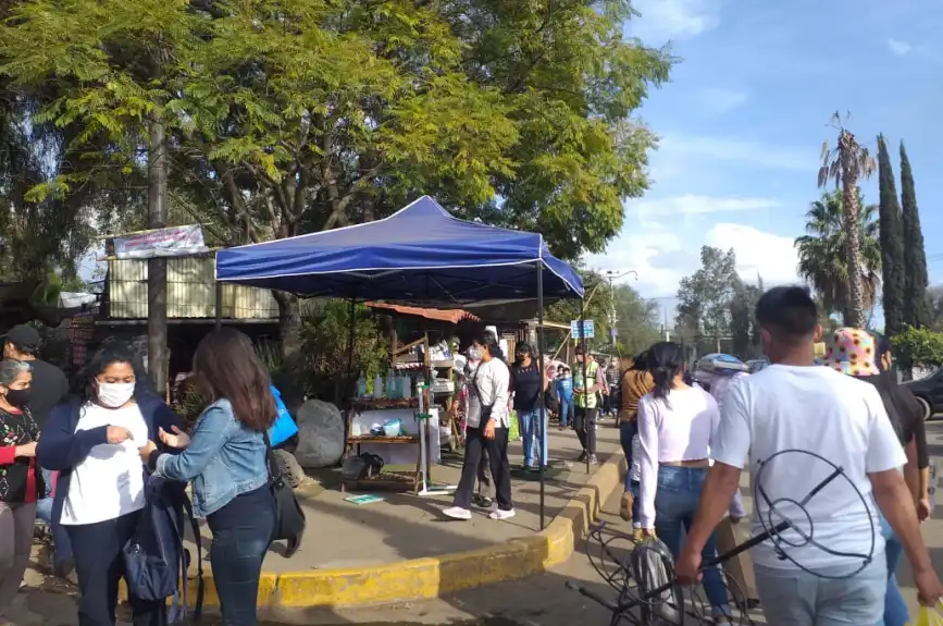En estos mercados de flores puedes comprar tus nochebuenas.
