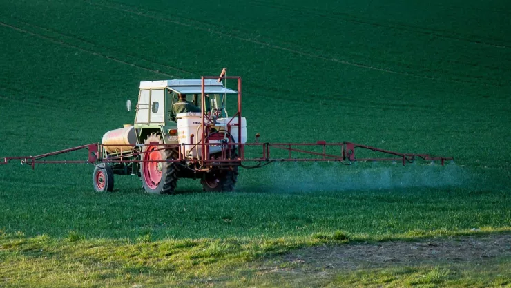 Las 5 plagas más comunes en la temporada de otoño