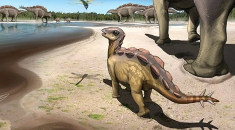 estegosaurio_dinosaurio_gato.jpg