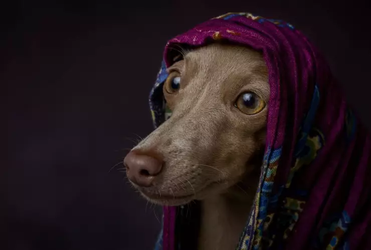 Anuncian jornada de Kilo Verde y Croquetón en Solidaridad