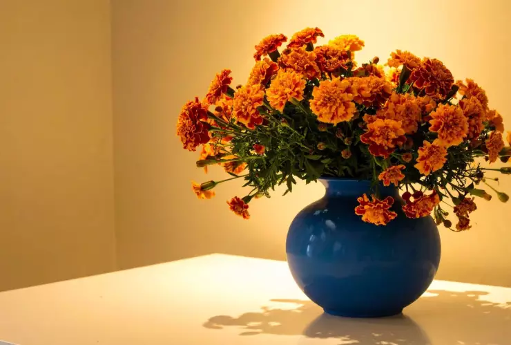 flores de cempasúchil