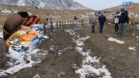 Frentes fríos en México invierno 2025 2026