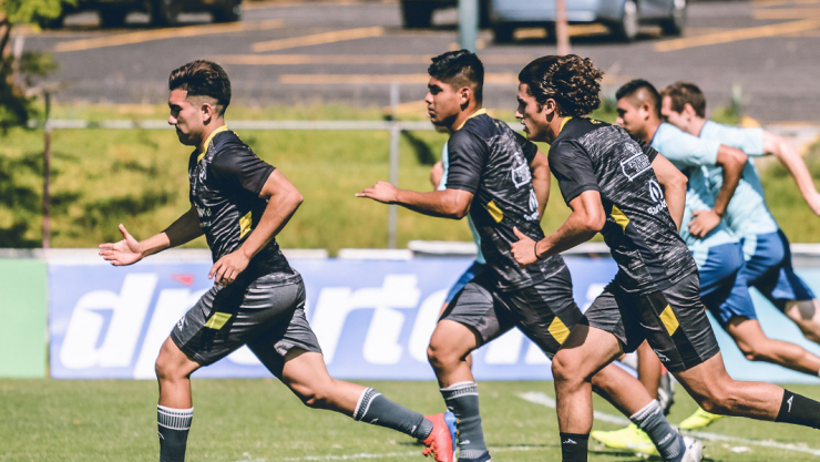 Monarcas Morelia