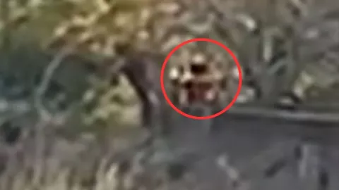 Chaneque en Veracruz