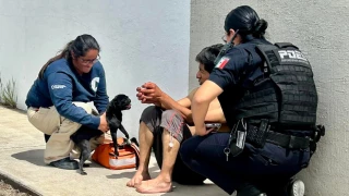 Incendio San Juan del Rio, perrito y su dueño rescatados