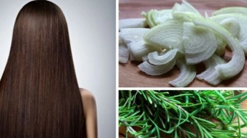 INGREDIENTES SHAMPOO.jpg