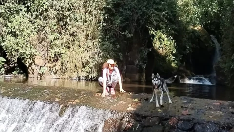Asesinan a perro por defender a su dueña en Coatepec.
