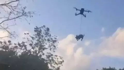 perrito amarrado a un dron