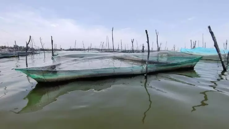 Mortandad de peces en la laguna de Tres Palos, Acapulco