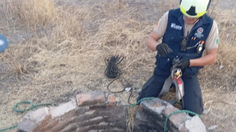 Rescatan a perrito de pozo en Balcones de la Joya, León, 3 de abril 2025.png