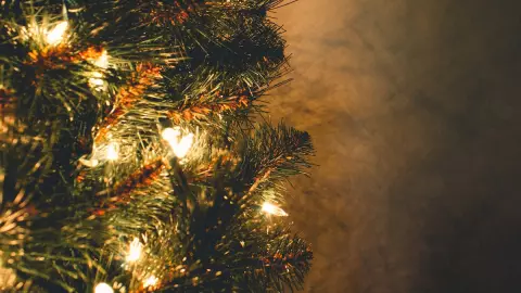 Estos son algunos datos curiosos que debes saber sobre la Navidad
