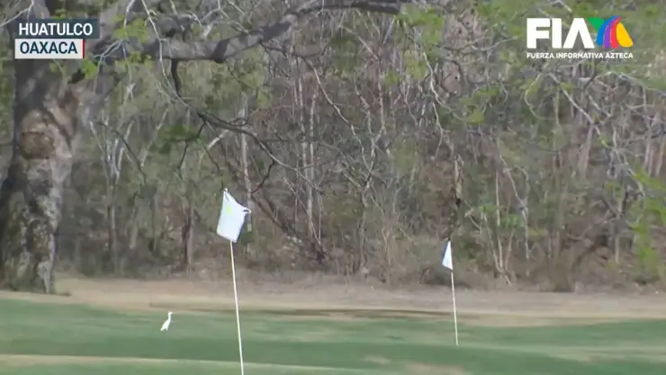 En el campo de golf de Tangolunda los principales afectados son sus trabajadores