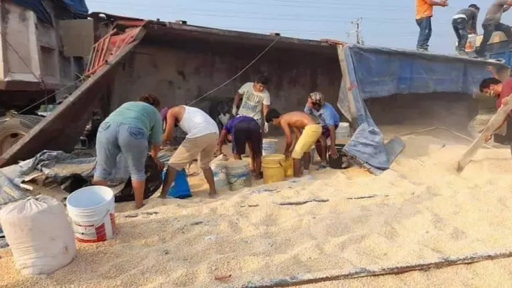 El tráiler que transportaba toneladas de maíz volcó en Coatzacoalcos, Veracruz, y lugareños aprovecharon para realizar la rapiña.