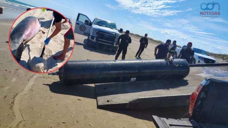 Contaminacion Starship 11 de SpaceX