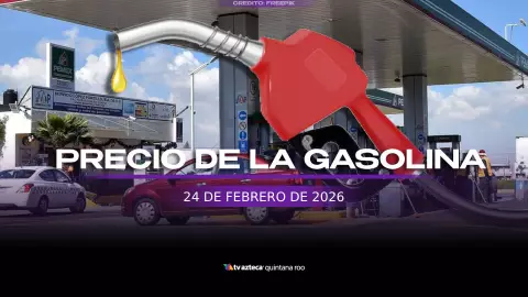 precio de la gasolina hoy 24 de febrero de 2026