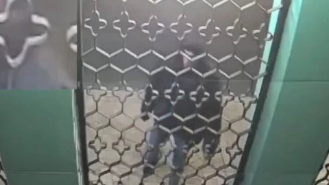 sujeto robando un farol en colonia Humboldt