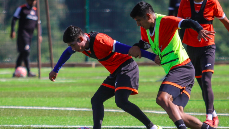 alebrijes vs venados liga de expansion en vivo