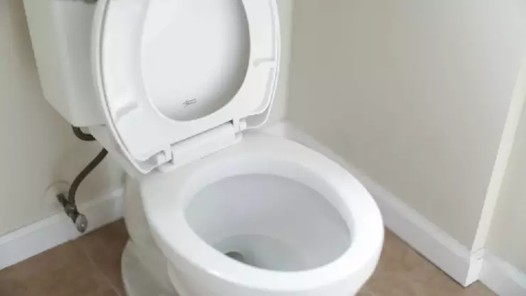 Esta es la RAZÓN por la que debes echar SAL al inodoro todas las noches antes de dormir