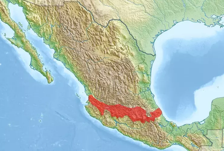 Cinturón de fuego del Pacífico 