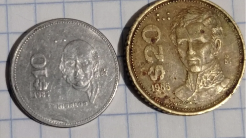 monedas de 10 y 20 pesos