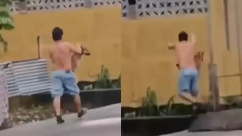 Hombre lanza perros a río en Guatemala