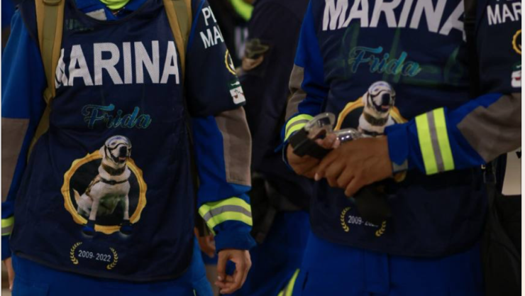 ¡Héroes mexicanos! Perros rescatistas se dirigen a Turquía tras sismo