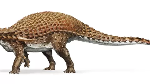 nodosaurio.png