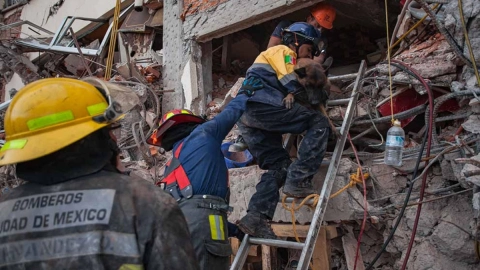 curso perros de rescate UNAM.jpg