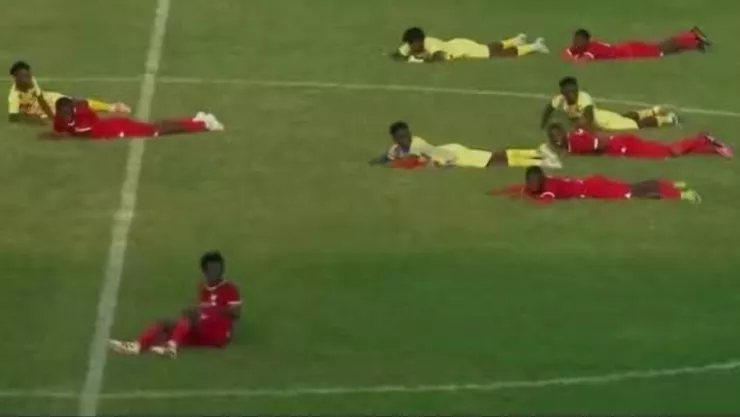 Partido de fútbol en Tanzania se suspende por invasión de abejas.jpg