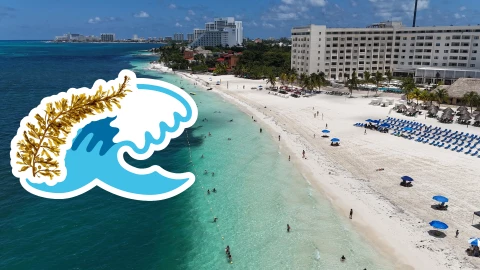 Playas libres de sargazo en Quintana Roo HOY 14 de junio_ Lista desde Holbox, Cancún y hasta Tulum.jpg