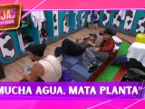 “El Mono” Osuna CRITICA la rutina de este Granjero: “Mucha agua, mata planta”