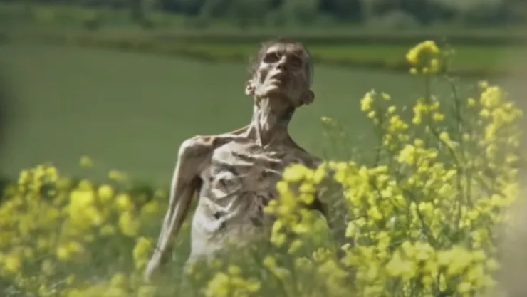 ¿Y Cillian Murphy? ¿Se convirtió en zombi?