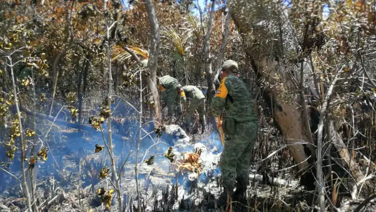 Incendio reserva