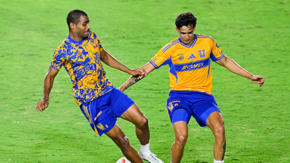 Tigres