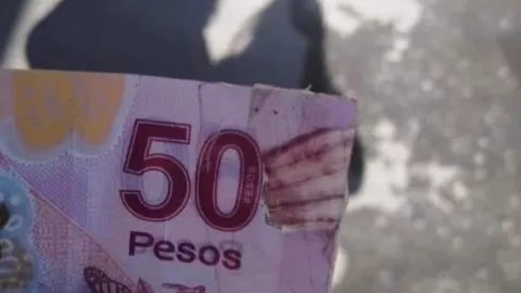 Reparan billete roto de 50 pesos con pedazo de cebolla.jpg
