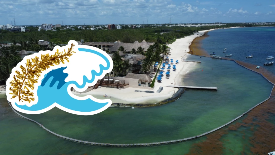 Playas libres de sargazo en Quintana Roo HOY 16 de agosto de 2025_ Lista desde Holbox, Cancún y hasta Tulum.jpg