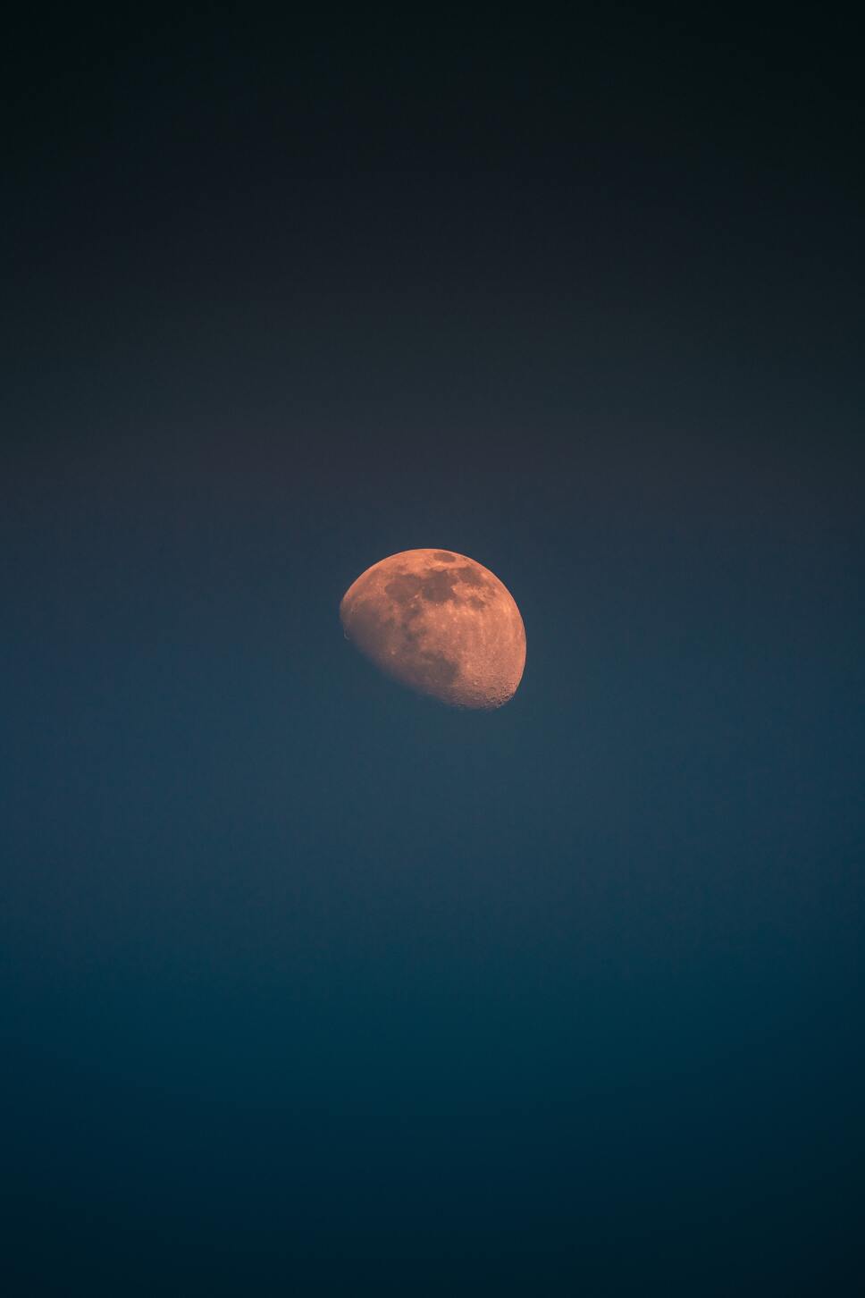 marcel-strauss-wYfn2TXWBKo-unsplash.jpg