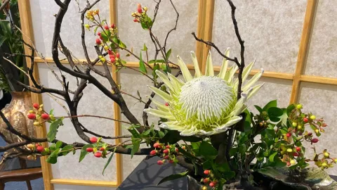 Ikebana