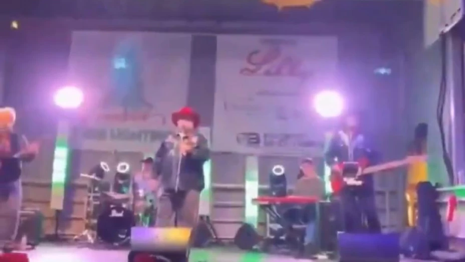 Carolina del Norte encendido del árbol