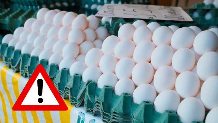 La medida busca reducir el riesgo de enfermedades asociadas con la bacteria Salmonella Enteritidis