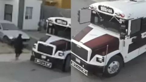 Roban camión de transporte