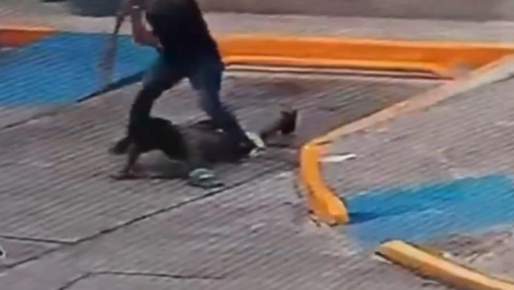 Captan momento en que sujeto amputa las manos de un hombre con una pala