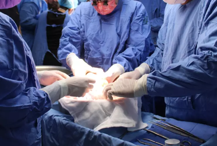 Convocatoria-IMSS-2023-médicos-jubilados-especialistas