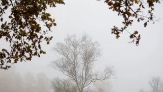 Frentes fríos octubre 2025 Ciudad Juárez.png