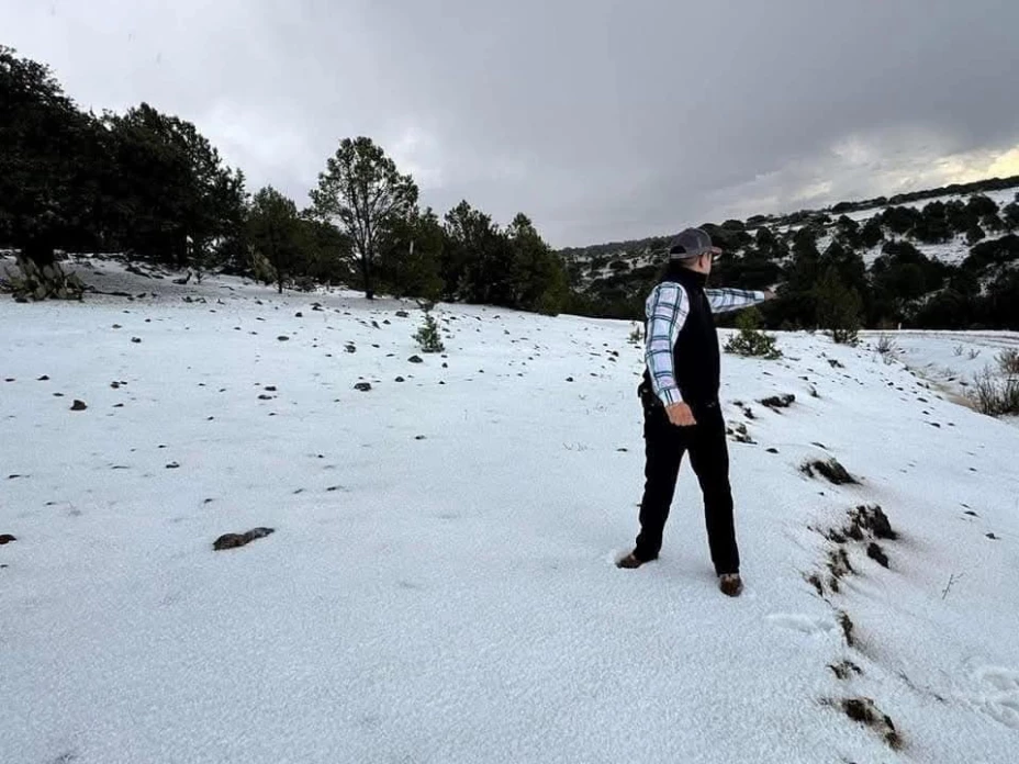 Nevada en Milpillas, Zacatecas; habrá bajas temperaturas