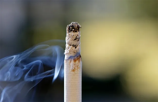 cigarro