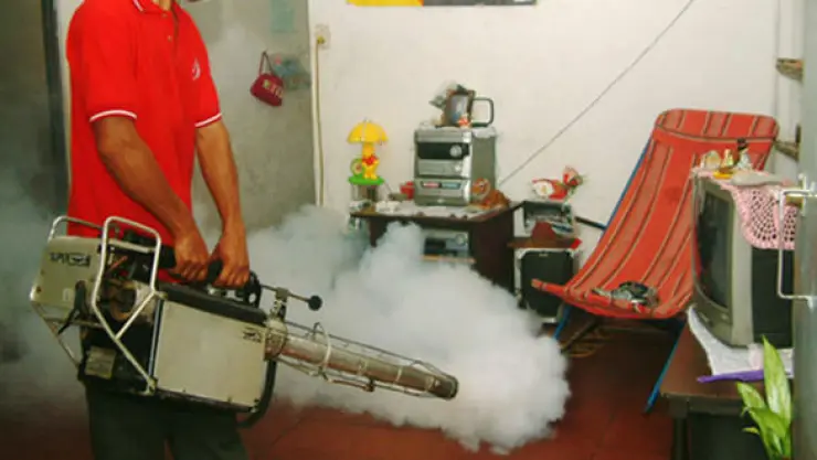 dengue